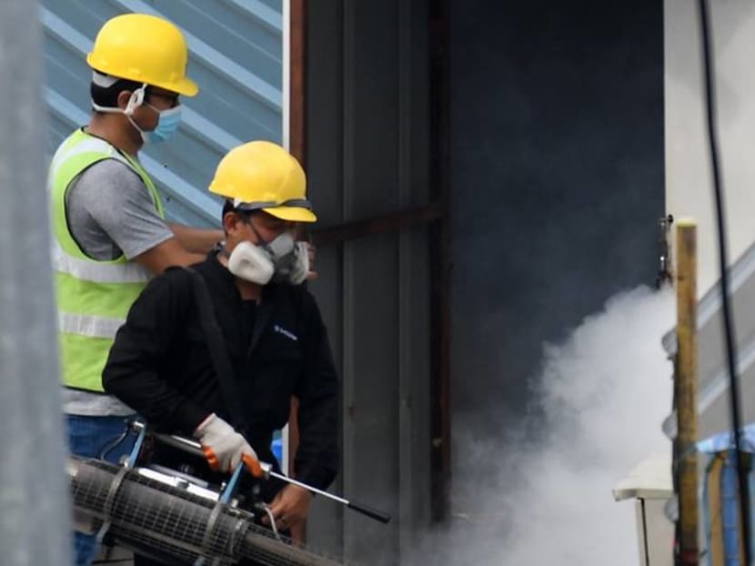 Almost 5,500 dengue cases reported in Singapore so far this year, exceeding last year's total Almost 5,500 dengue cases reported in Singapore so far this year, exceeding last year's total