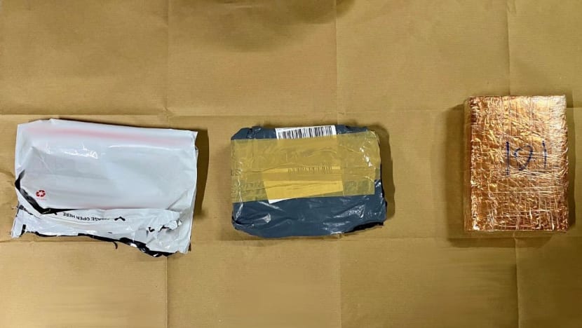 8kg of cannabis among drugs worth S$304,000 seized during CNB bust