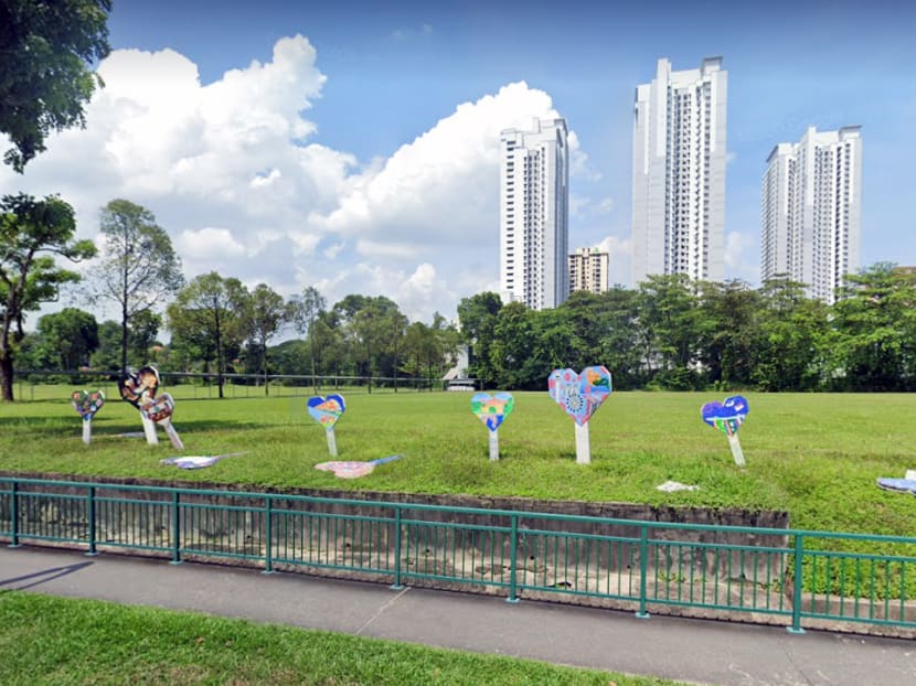 Use vacant plots, Sers for housing needs instead of clearing Dover Forest: MP Christopher de Souza Use vacant plots, Sers for housing needs instead of clearing Dover Forest: MP Christopher de Souza
