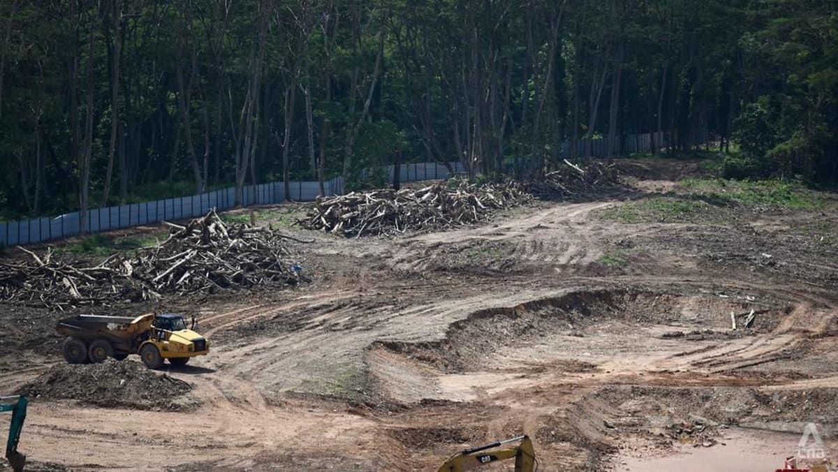 Pejabat JTC Corporation dan atasannya saat itu mengaku bersalah atas pembukaan lahan hutan Kranji secara ilegal