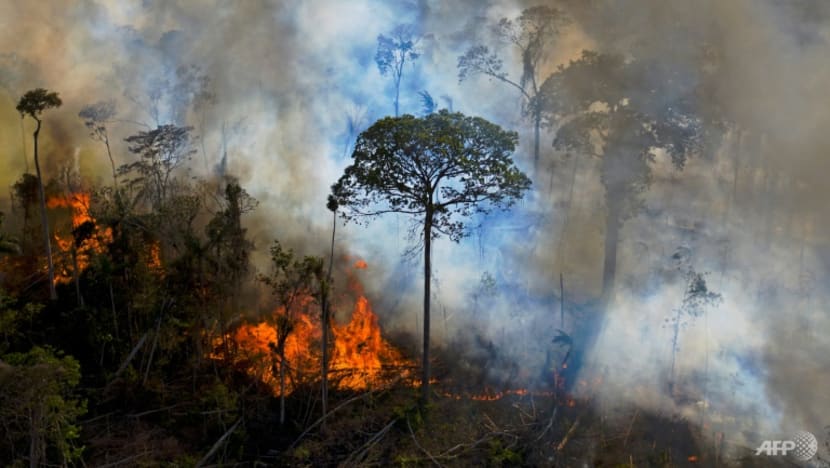 COP26: World leaders promise to end deforestation by 2030, but most Southeast Asian countries yet to sign on COP26: World leaders promise to end deforestation by 2030, but most Southeast Asian countries yet to sign on