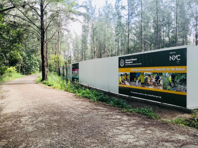 OBS to 'carefully plan' construction of new Coney Island campus to minimise environmental impact OBS to 'carefully plan' construction of new Coney Island campus to minimise environmental impact