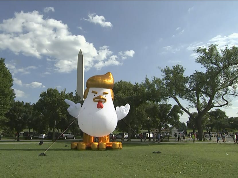 This image from video, shows a inflatable chicken on the Ellipse, just south of the White House in Washington, Aug  9, 2017. Photo: AP