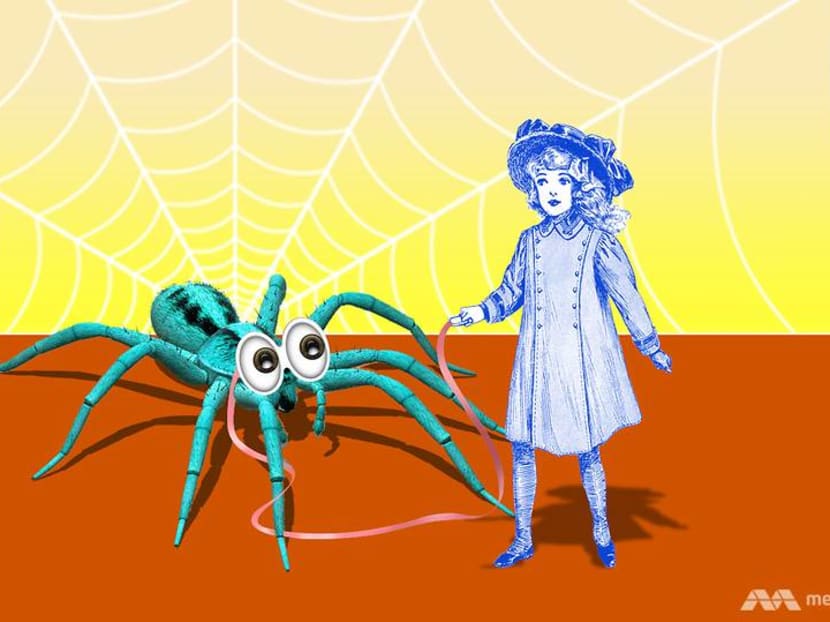 How a spider named Arthur became the best work from home colleague