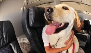 Commentary: Blanket bans on emotional support animals may not be the right move