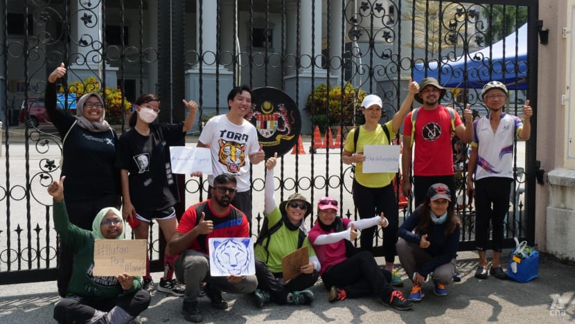 Environmental activists travel 235km on foot to highlight dwindling Malayan tiger numbers