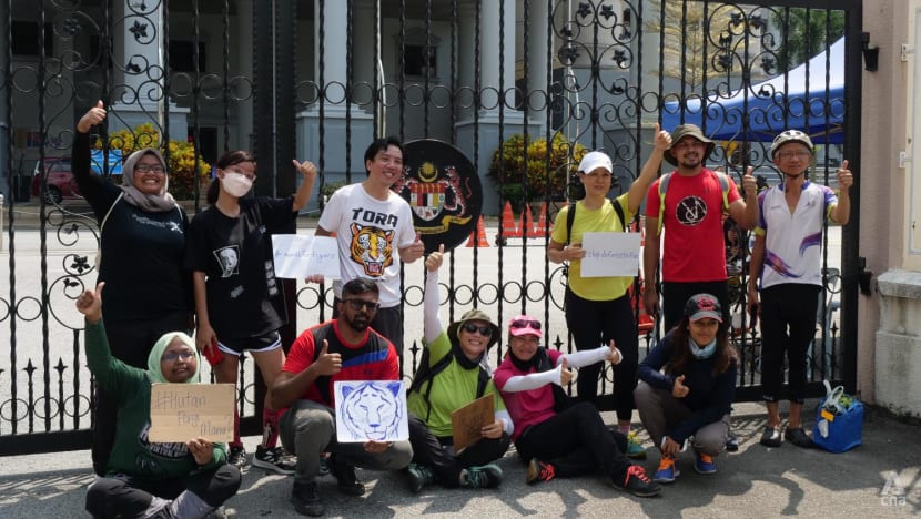 Environmental activists travel 235km on foot to highlight dwindling Malayan tiger numbers Environmental activists travel 235km on foot to highlight dwindling Malayan tiger numbers