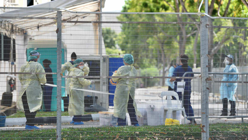 Migrant workers with COVID-19 symptoms isolated before getting tested to prevent potential transmission Migrant workers with COVID-19 symptoms isolated before getting tested to prevent potential transmission