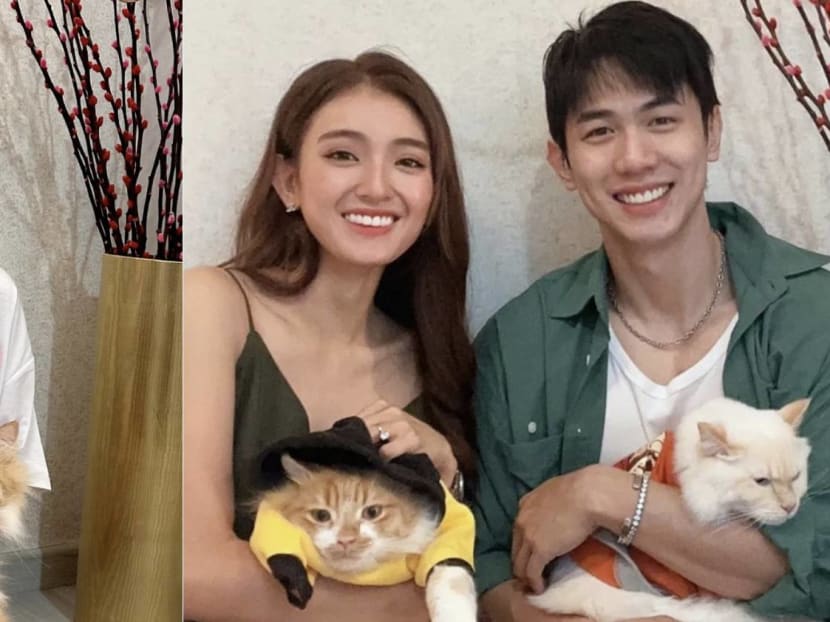 Hong Ling does not think her cat likes fiancé Nick Teo more despite what animal communicator claims