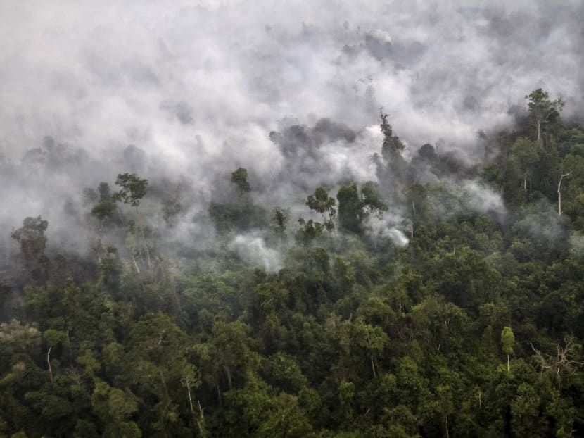 A forest fire is seen from a helicopter operated by the National Agency for Disaster Management over Langgam District, Riau province on the island of Sumatra September 23, 2015. Photo: Antara Foto via Reuters