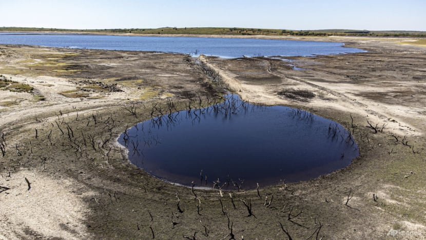 UK declares drought in parts of England amid heatwave UK declares drought in parts of England amid heatwave