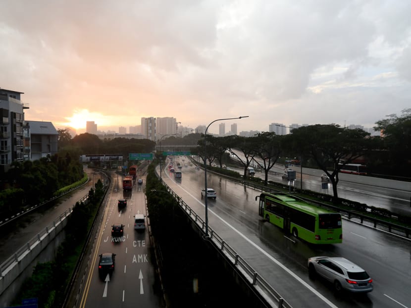 Dr Dale Fisher, who chairs the World Health Organization’s Global Outbreak Alert and Response Network, said that unlike countries that imposed lockdowns to buy time when the disease has already spread wildly, Singapore’s circuit breaker was a pre-emptive move, so comparisons with these countries may not be fair.