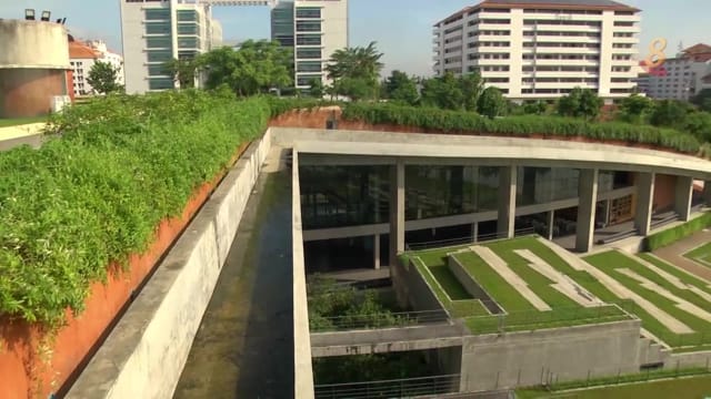焦点 | 泰国屋顶也能种菜 产量达200公斤
