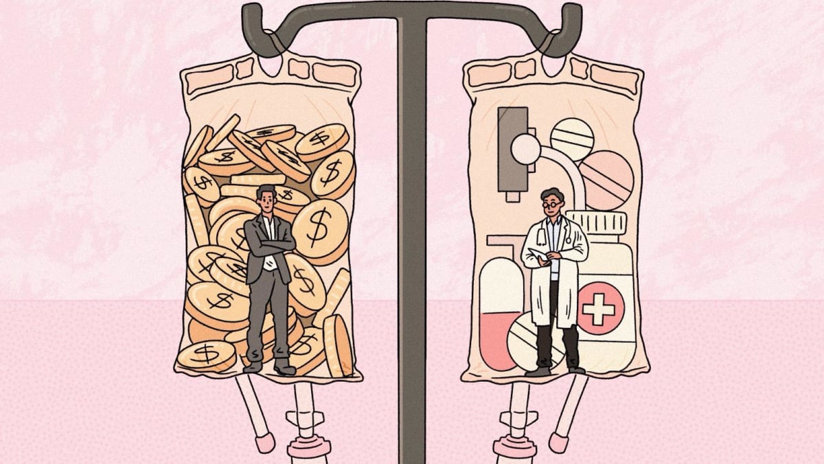 Awash with investment funds, private healthcare and pet care sectors grapple with putting profits or patients first
