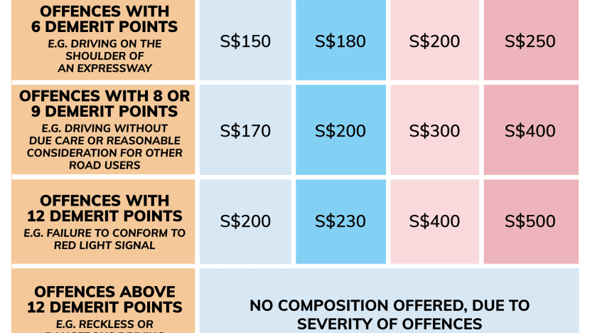 red light ticket demerit points