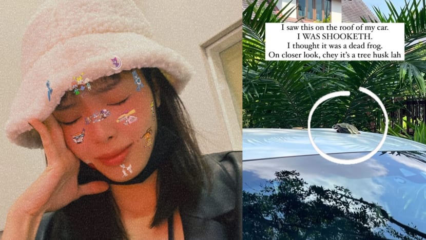 YES 933 DJ Hazelle Teo Drove Around With A Dead Bird On Her Car ’Cos She Thought It Was A “Tree Husk” YES 933 DJ Hazelle Teo Drove Around With A Dead Bird On Her Car ’Cos She Thought It Was A “Tree Husk”