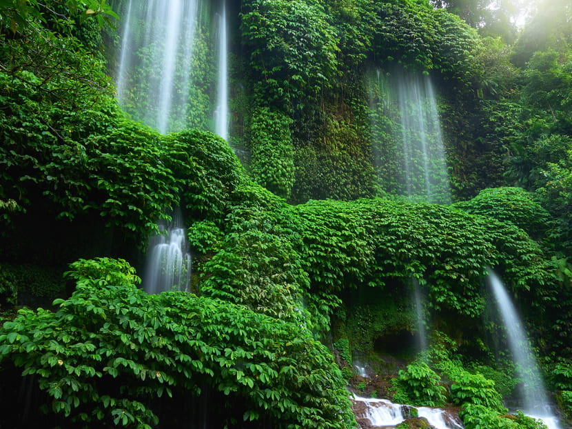 Lombok doesn't just offer stunning beaches, there’s plenty of lush greenery at places like the Benang Kelambu Waterfall. PHOTOS: Indonesia Tourism Board Lombok doesn't just offer stunning beaches, there’s plenty of lush greenery at places like the Benang Kelambu Waterfall. PHOTOS: Indonesia Tourism Board