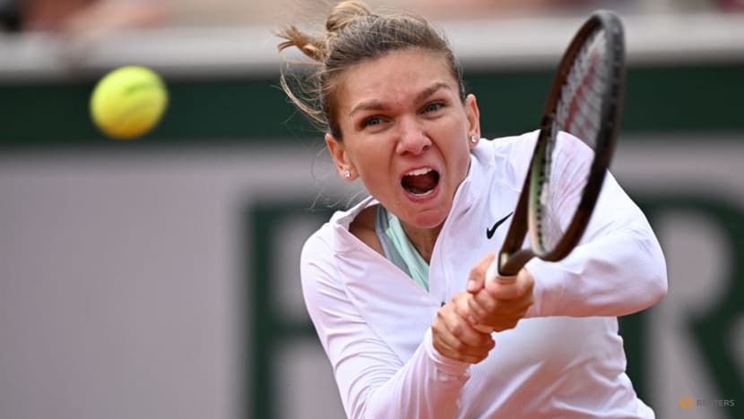 Halep hopes to learn from on-court panic attack Halep hopes to learn from on-court panic attack