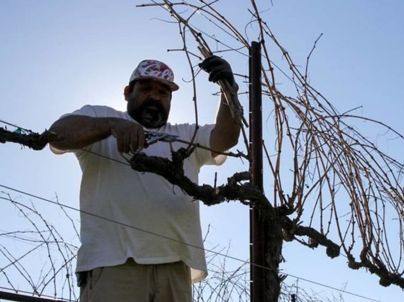 African-American wine makers lead push to increase diversity in the industry African-American wine makers lead push to increase diversity in the industry