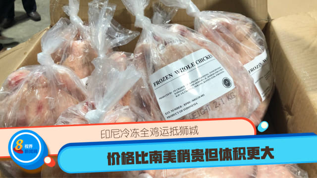 印尼冷冻全鸡运抵狮城 价格比南美稍贵但体积更大