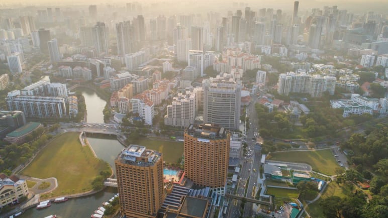 From predicting floods to saving forests: 'Pivotal' role of AI in tackling 'most pressing' climate challenges