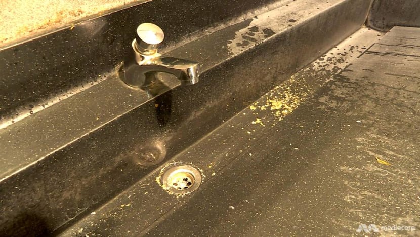 Drink water from a public toilet? Singapore's taps put to the test Drink water from a public toilet? Singapore's taps put to the test