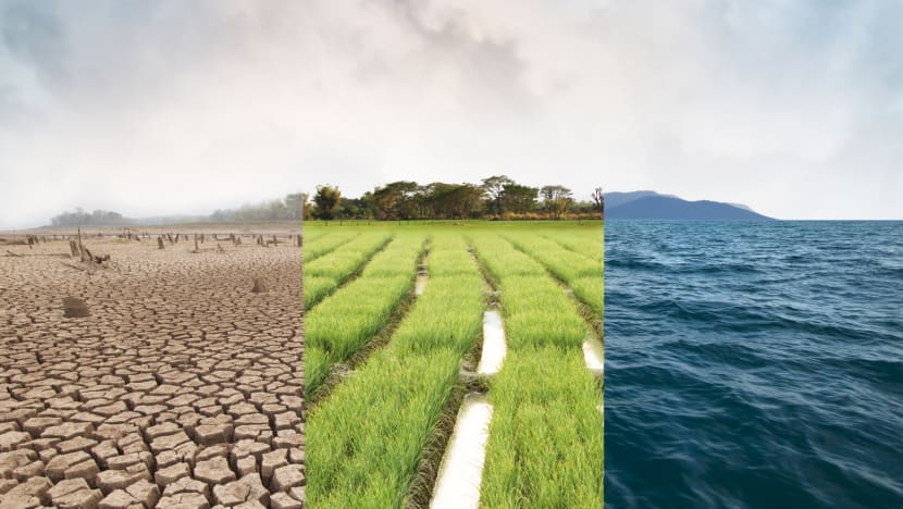 COP26: 10 reasons why it’s an important moment in the climate change fight COP26: 10 reasons why it’s an important moment in the climate change fight