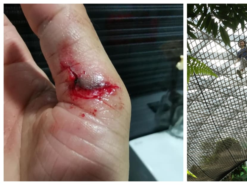 Woman sustains deep cut on hand after tripping at Jewel Sky Nets attraction