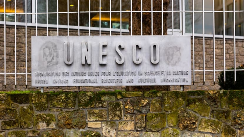 Russian resignation unblocks key UNESCO committee: Source Russian resignation unblocks key UNESCO committee: Source