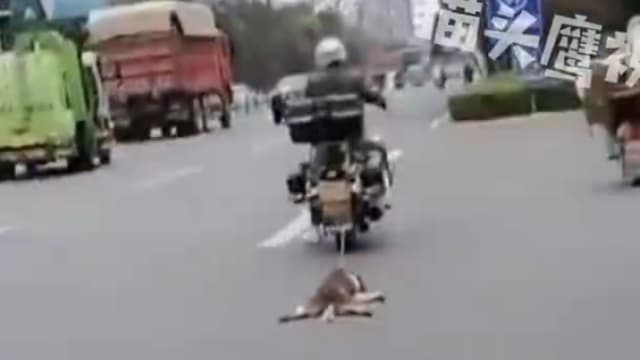 中国男子把狗绑在摩托车后拖行 路人怒骂：是你的狗吗？
