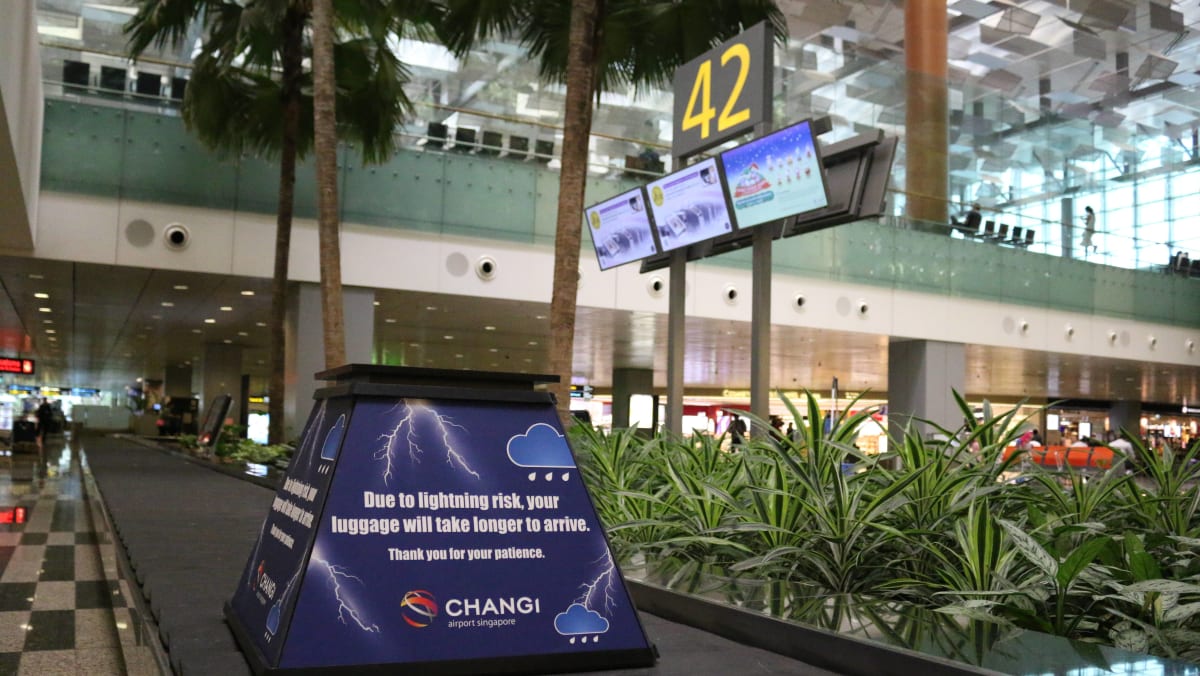 Changi airport baggage claim hot sale