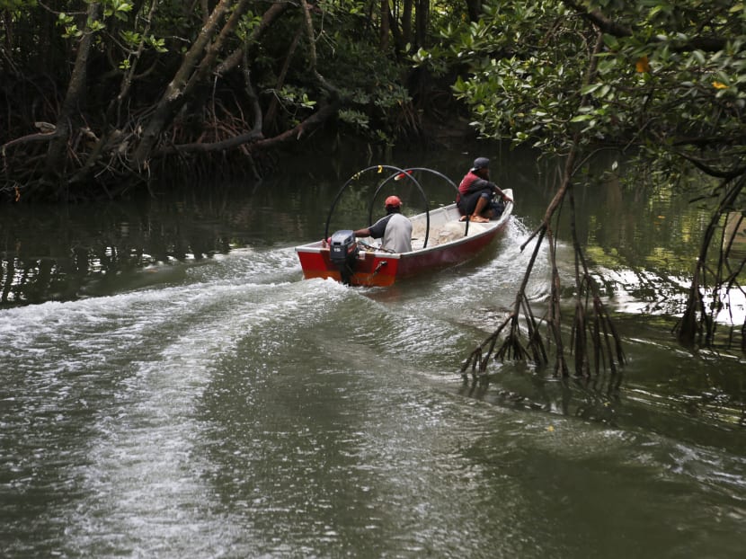 Mega projects off Johor hit fishermen livelihood