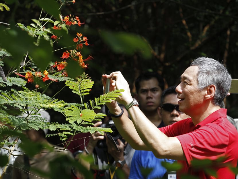 Enhancing natural habitats, recovery efforts among initiatives set for Pulau Ubin