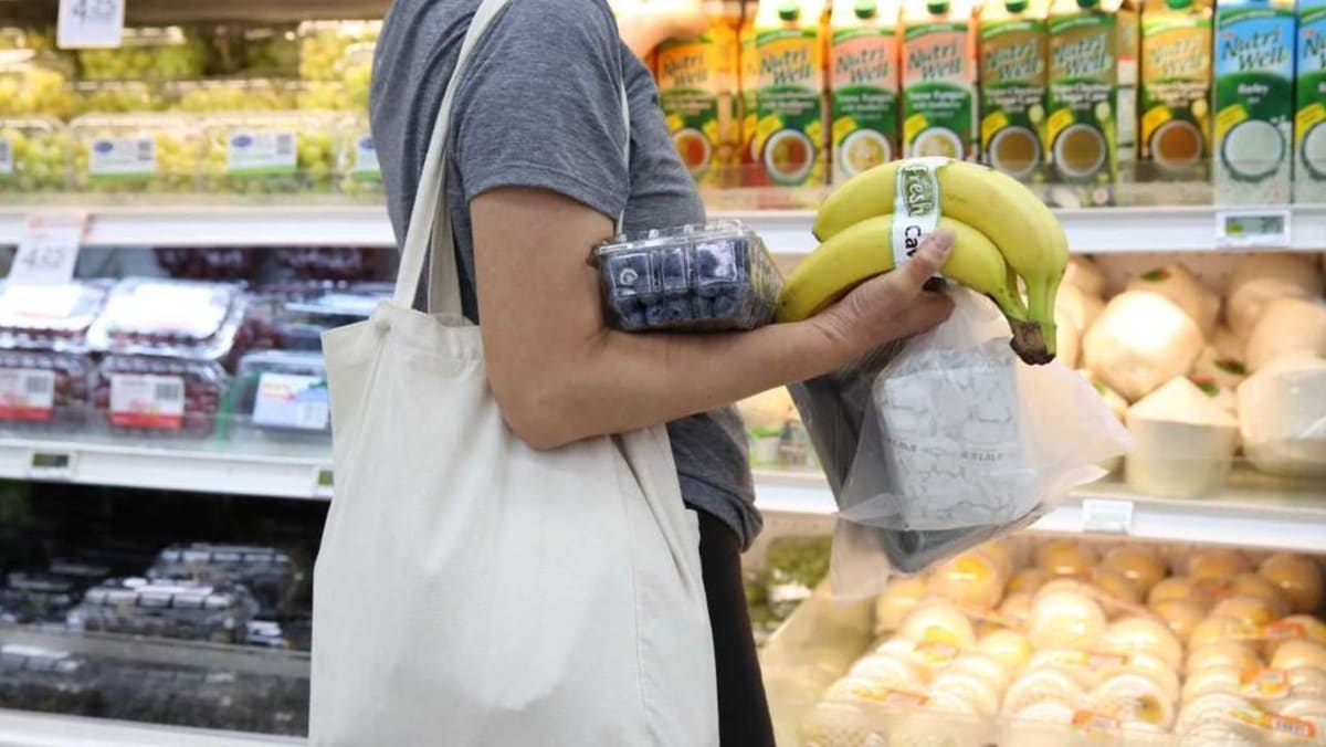 Month long no plastic bag trial at seven NTUC FairPrice outlets comes to an end TODAY