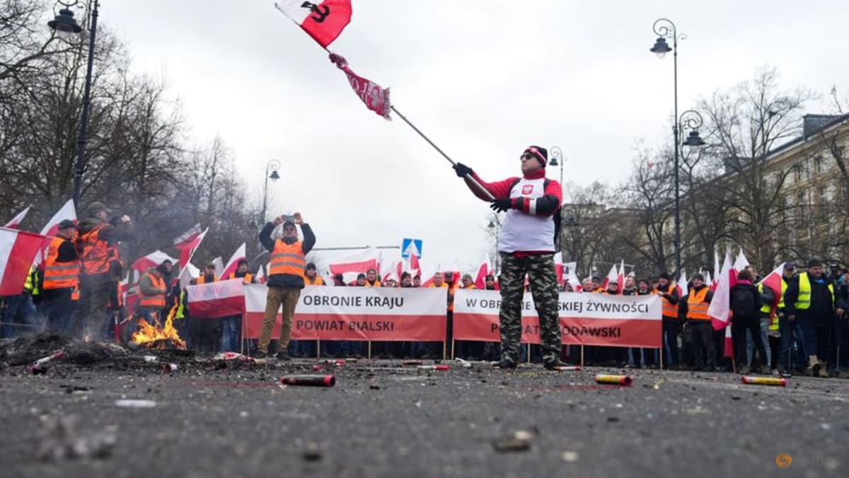 Angry Polish farmers protest EU rules, Ukraine farm imports