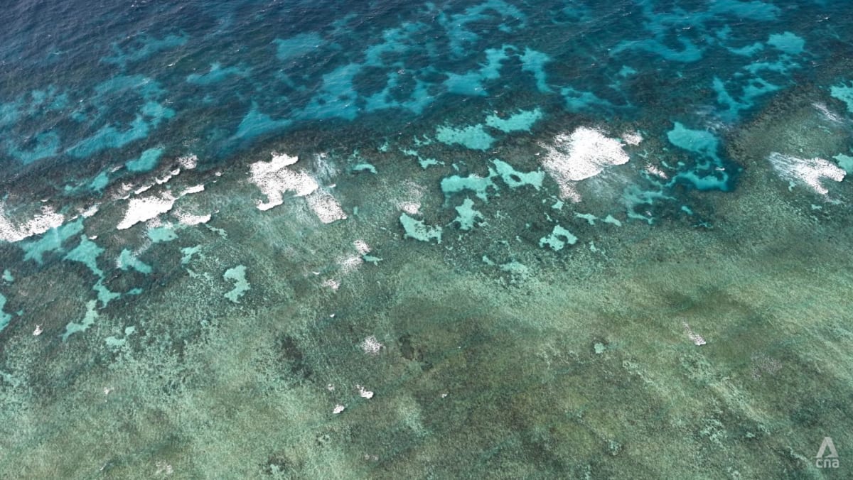 Australia’s Great Barrier Reef is straining from climate change but ...