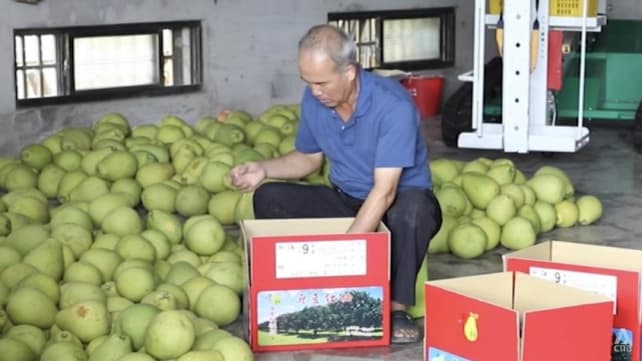 Pomelo shampoo and body lotion: Taiwan’s farmers find new ways to cope with China’s import ban