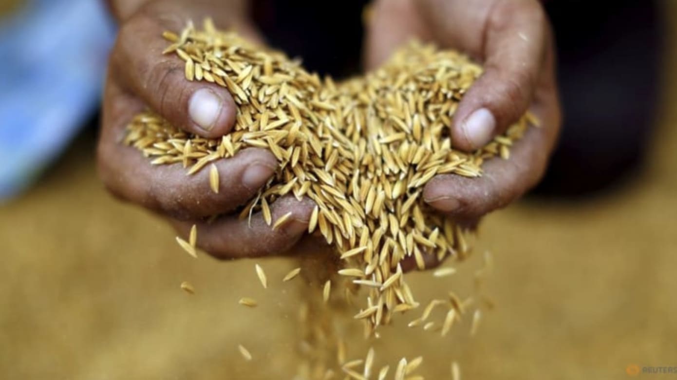 泰国越南政府正协商 联手抬高米价助稻农