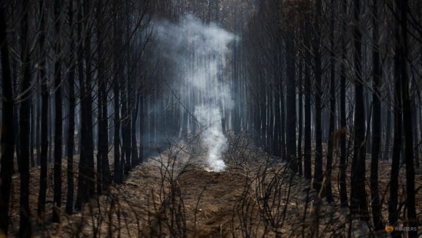 Wildfires rage, farmers struggle as another heatwave bakes western Europe Wildfires rage, farmers struggle as another heatwave bakes western Europe