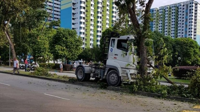 Pemandu ditangkap selepas lori rempuh pokok di Boon Lay