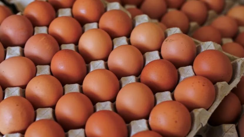 Ladang ternakan M'sia didenda RM15,000 kerana tipu gred telur
