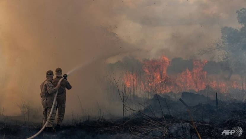 China is hungry for food. The Amazon is left counting the cost