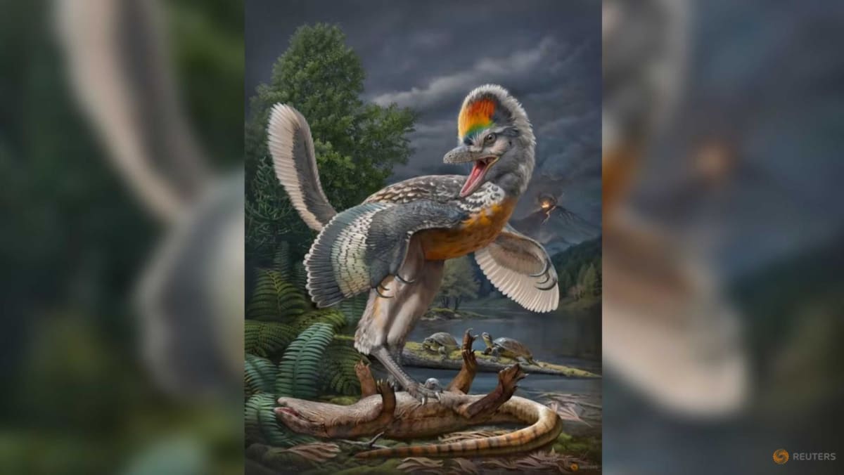 'Bizarre' long-legged bird-like dinosaur has scientists enthralled