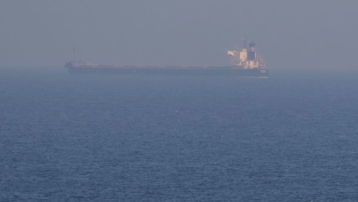 Ukraine announces 'humanitarian corridor' for ships stuck in ...