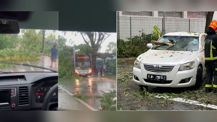 Trees fall on vehicles amid heavy rain on Sunday afternoon