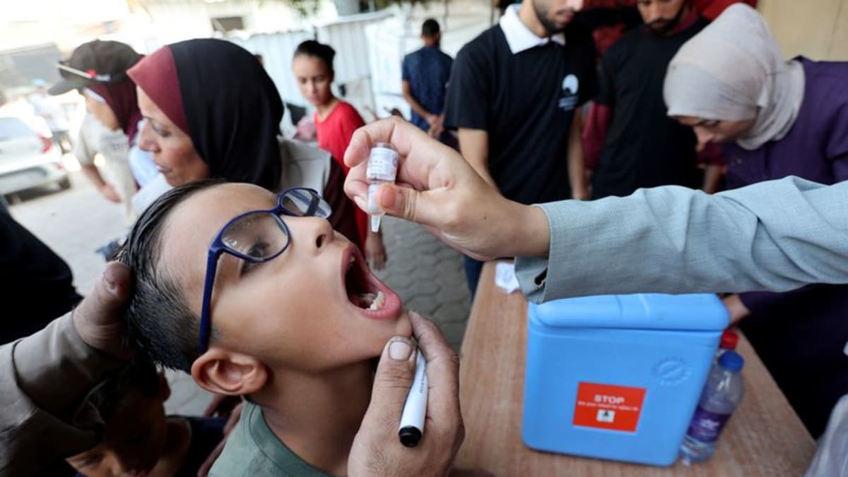 150,000 Gaza children given second polio vaccine dose: WHO