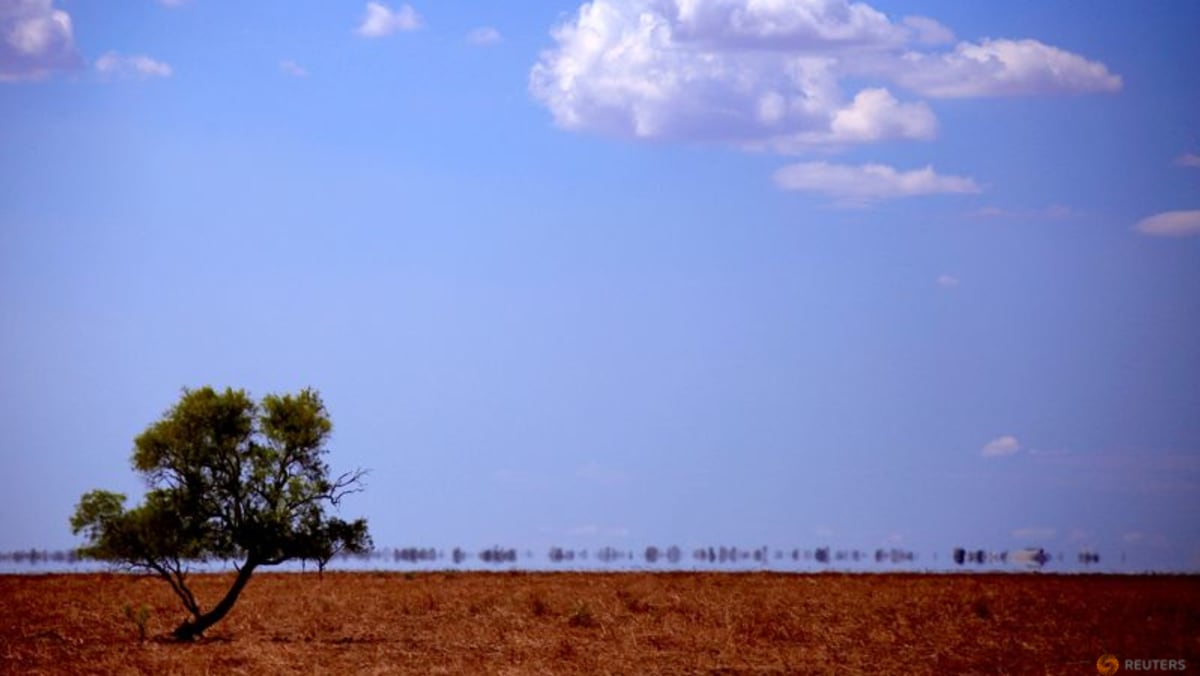Australian officials warn of bushfire threat as heatwave grips Sydney
