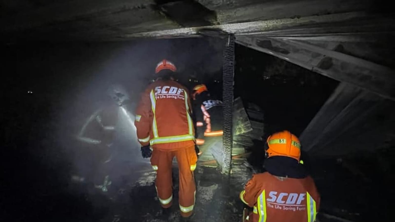 Kusu Island fire not deliberately started, says SCDF after preliminary investigation