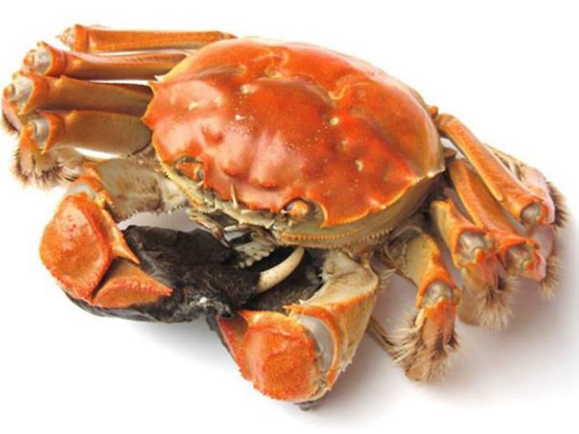 How to satisfy your craving for hairy crabs this season – without tummy troubles How to satisfy your craving for hairy crabs this season – without tummy troubles