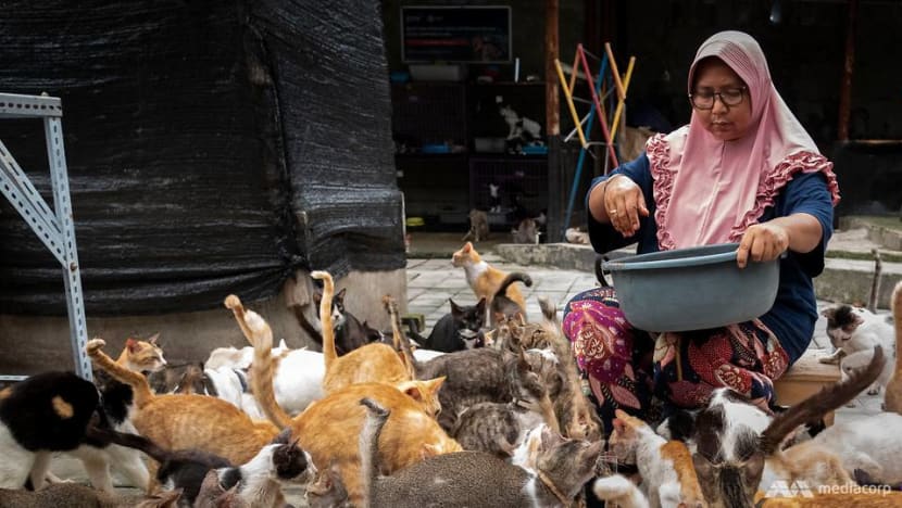 Indonesian woman converts home into shelter for more than 300 